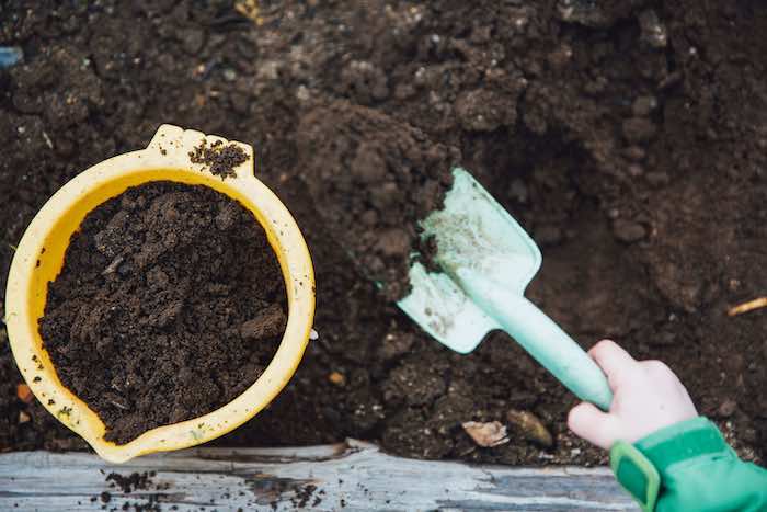 Choosing the Right Type of Soil - Savvy Gardens Centre