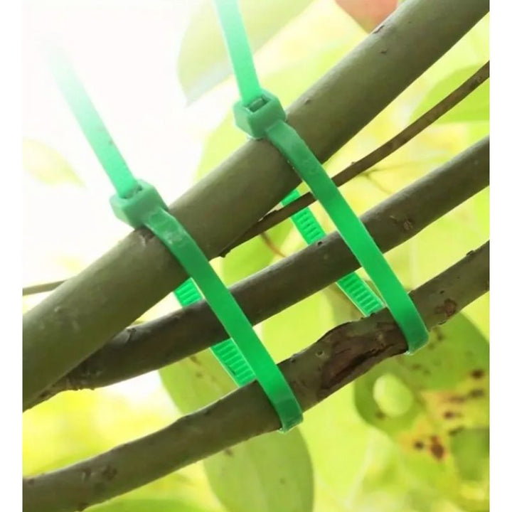 25 Pieces Of Garden Cable Tie - Savvy Gardens Centre