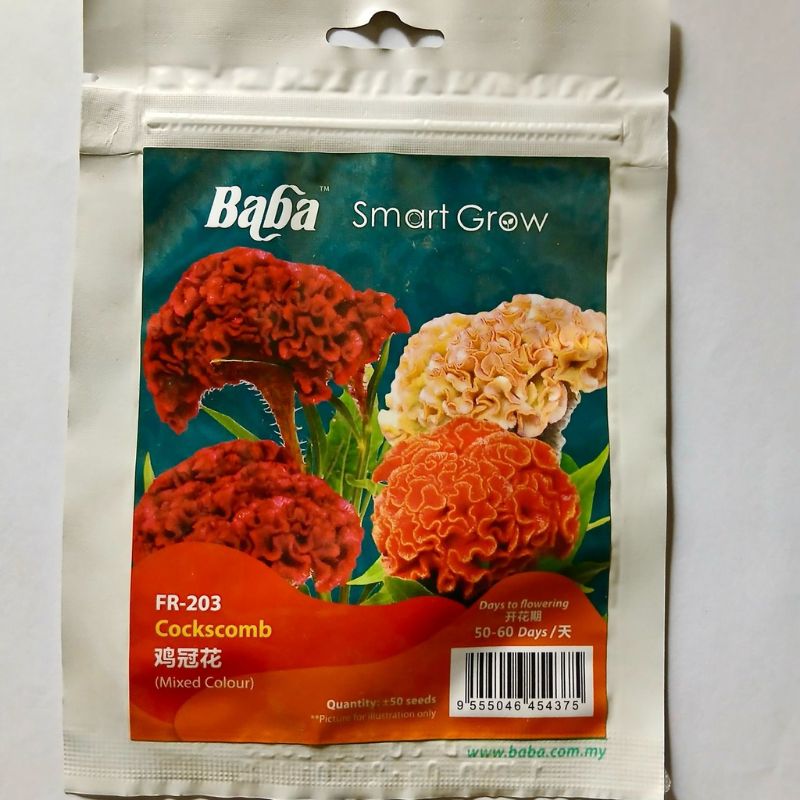 Baba Smart Grow Cockscomb (Mixed color) - Savvy Gardens Centre