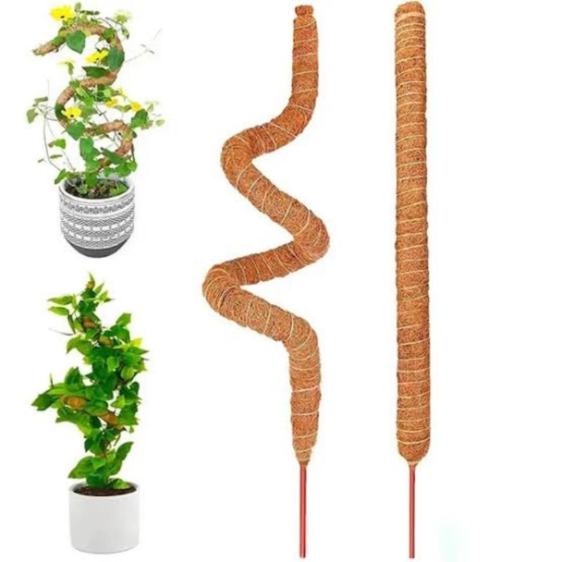 Diy Bendable Coconut Pole 60Cm - Savvy Gardens Centre