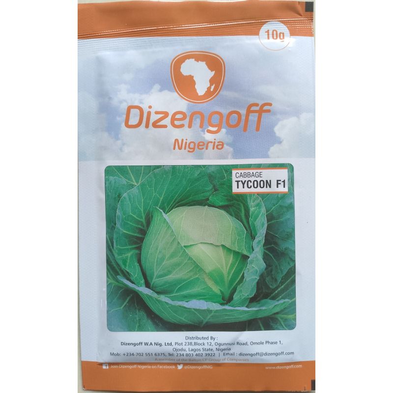 Dizengoff Nigeria Cabbage tycoon F1 - Savvy Gardens Centre