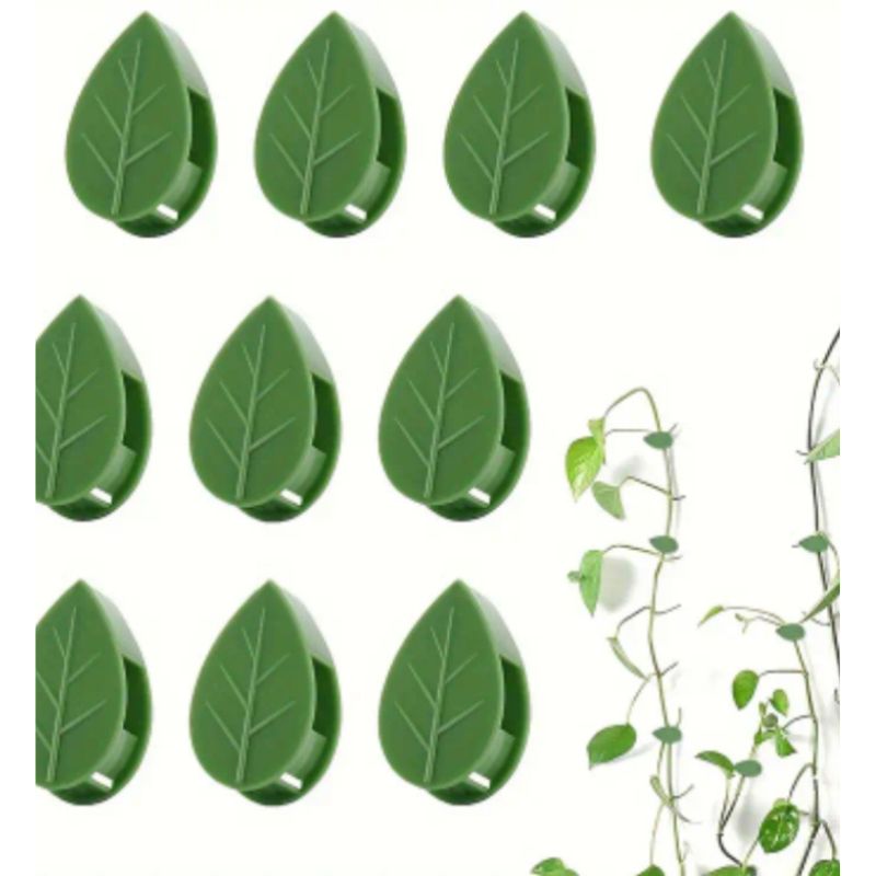 Plants Climbing Wall Clips 5Pcs - Savvy Gardens Centre