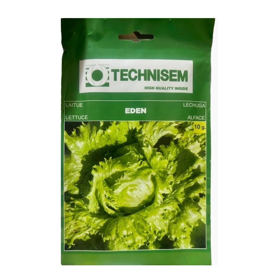 Technisem Lettuce Eden Seeds