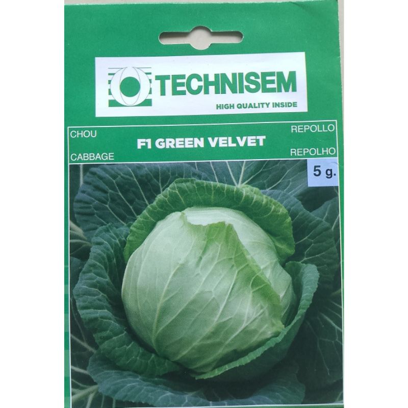 Tecnisem Cabbage F1 Green Velvet - Savvy Gardens Centre