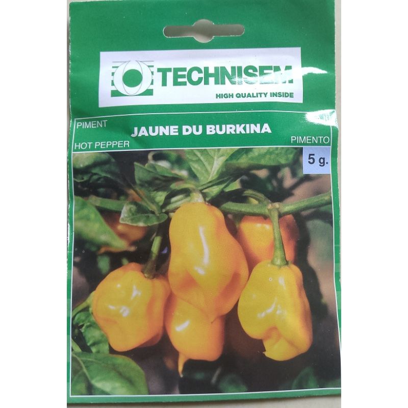 Tecnisem Hot Pepper Jaunde Du Burkina - Savvy Gardens Centre