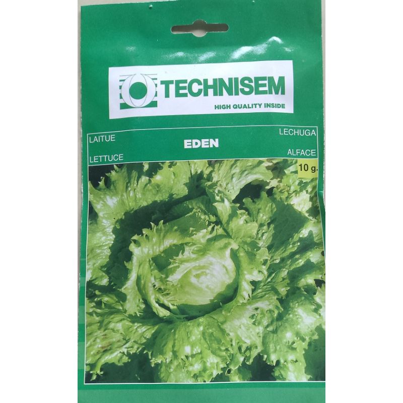 Tecnisem Lettuce Eden 10G - Savvy Gardens Centre