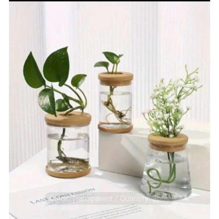 Transparent Hydroponic Planter - Savvy Gardens Centre