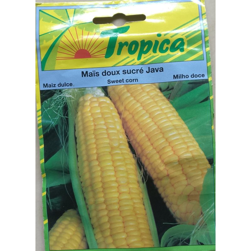 Tropical Seed Sweet Corn - Savvy Gardens Centre