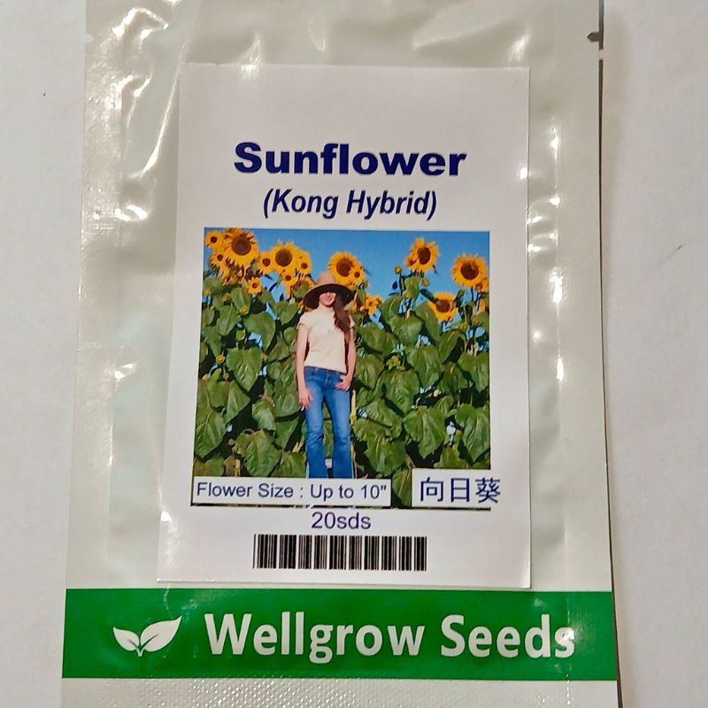 Well Grow Sunflower (Kong Hybrid) - Savvy Gardens Centre