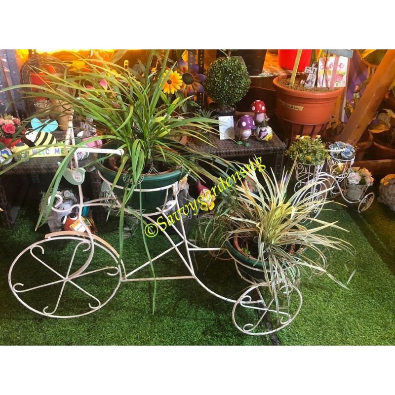 2-Pot Wrought Iron Bicycle Stand - Savvy Gardens Centre