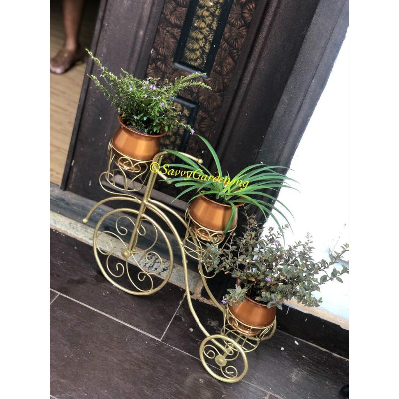 3-Pot Wrought Iron Bicycle Stand - Savvy Gardens Centre