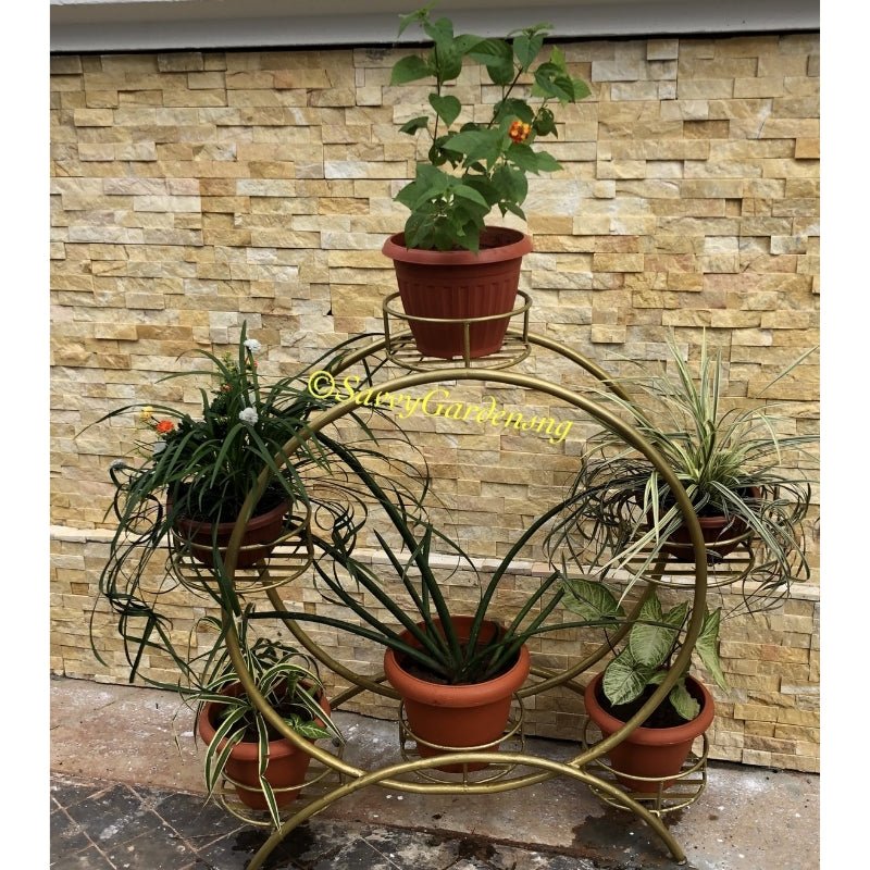 6-Pot Ring wrought Iron Plant Stand - Savvy Gardens Centre
