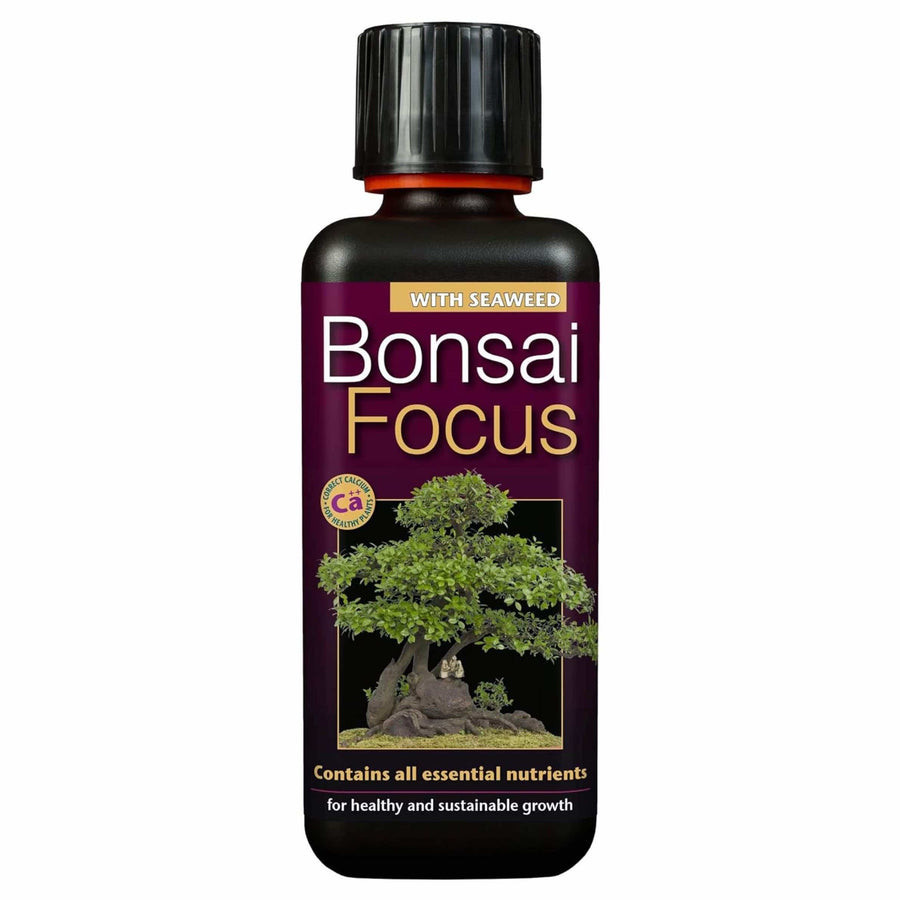 Bonsai Focus 300ml - LGC