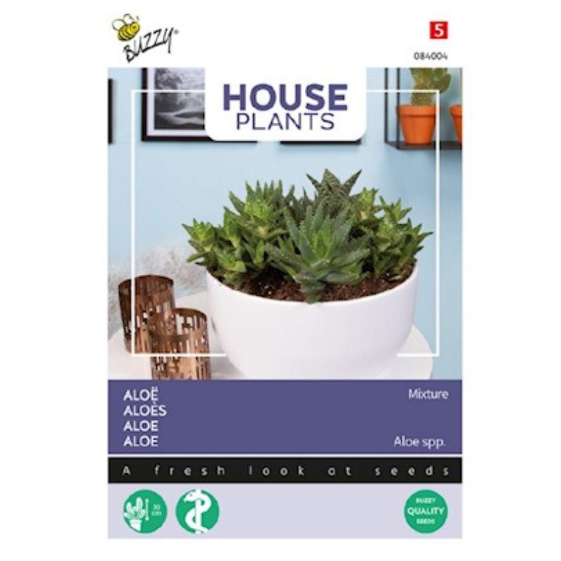 Buzzy House Plants Aloes - Savvy Gardens Centre