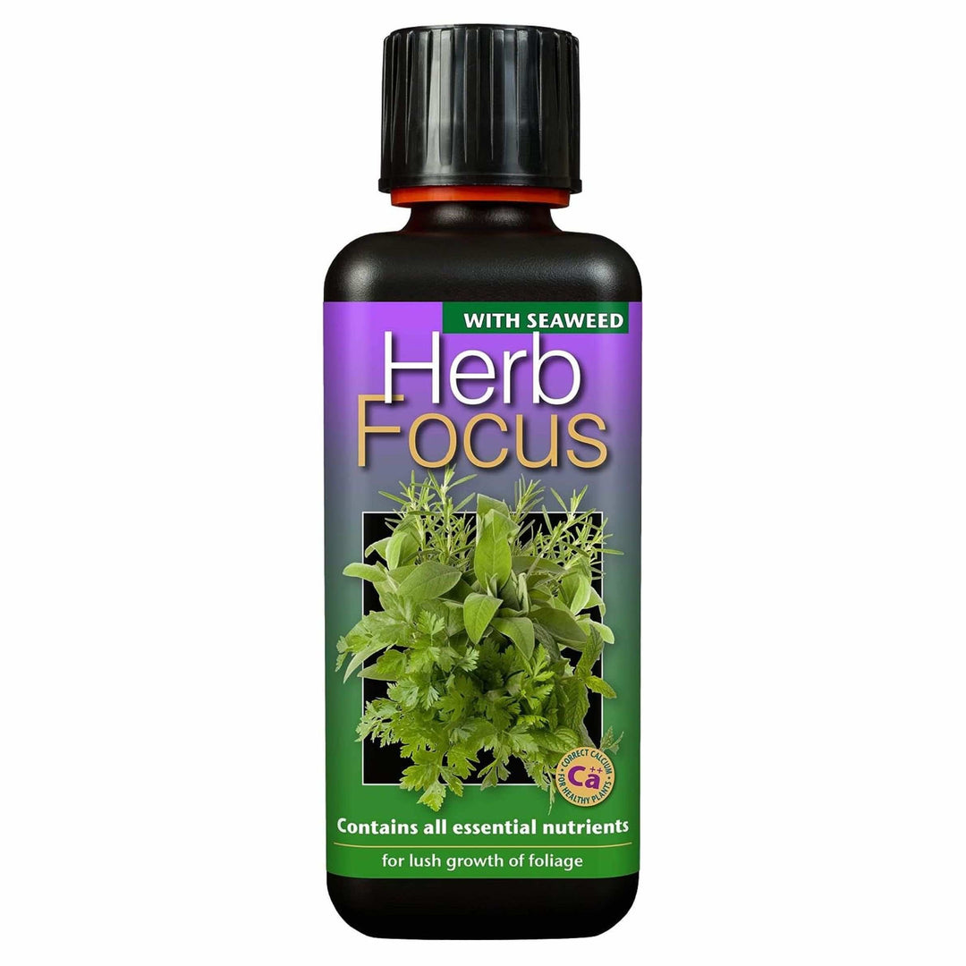 Herb Focus 300ml - LGC