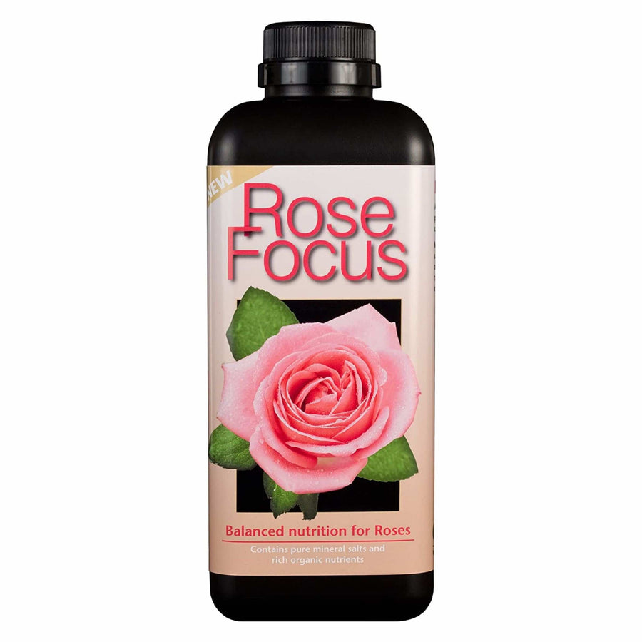 Rose Focus 300 ml - LGC