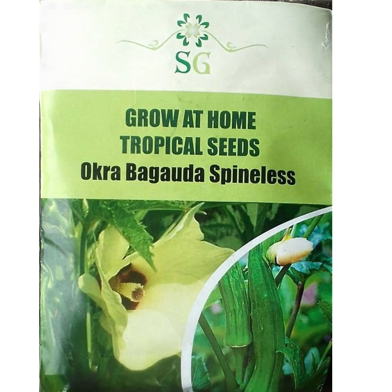 SG TROPICAL SEEDS OKRA BAGAUDA SPINELESS - Savvy Gardens Centre